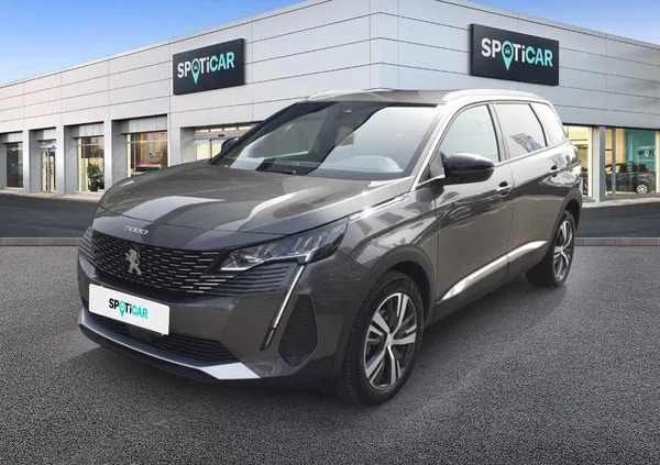 samochody osobowe Peugeot 5008 cena 149900 przebieg: 14217, rok produkcji 2023 z Stargard